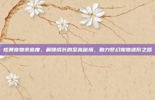炫舞宠物亲密度，解锁成长的至高秘境，助力梦幻宠物进阶之路