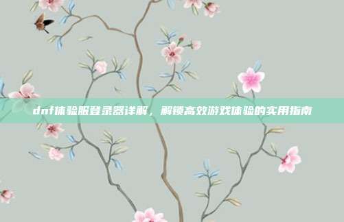 dnf体验服登录器详解,解锁高效游戏体验的实用指南