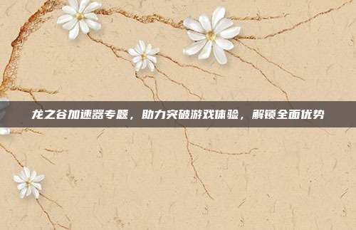 龙之谷加速器专题,助力突破游戏体验,解锁全面优势