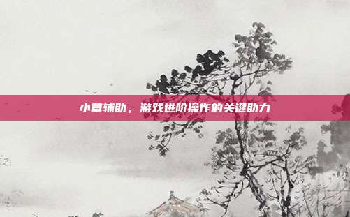 小草辅助,游戏进阶操作的关键助力
