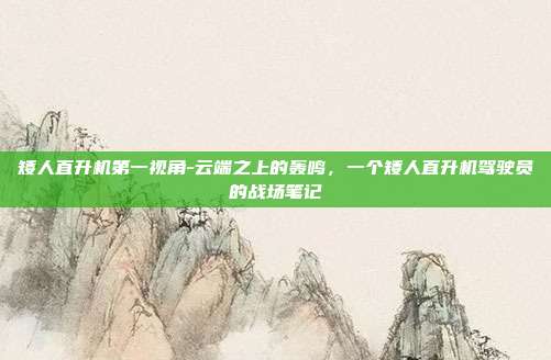 矮人直升机第一视角-云端之上的轰鸣,一个矮人直升机驾驶员的战场笔记