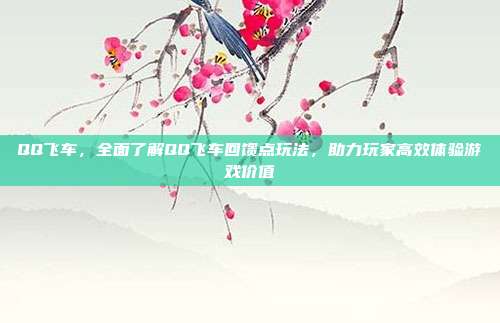QQ飞车,全面了解QQ飞车回馈点玩法,助力玩家高效体验游戏价值