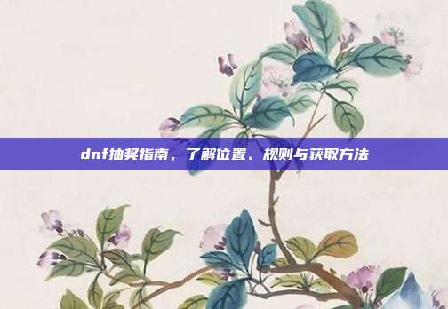 dnf抽奖指南,了解位置、规则与获取方法