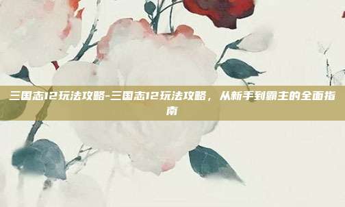 三国志12玩法攻略-三国志12玩法攻略,从新手到霸主的全面指南
