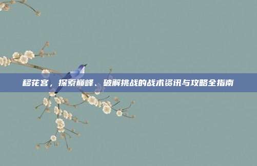 移花宫,探索巅峰、破解挑战的战术资讯与攻略全指南