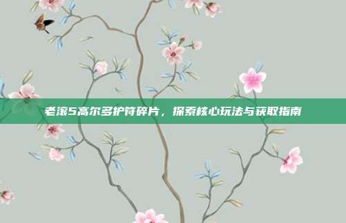 老滚5高尔多护符碎片,探索核心玩法与获取指南