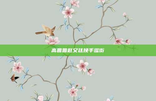 高圆圆赵又廷挽手逛街