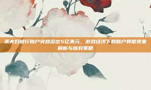 美夫妇银行账户突然多出5亿美元,游戏经济下的账户异常现象解析与应对策略