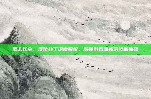 鹰击长空,汉化补丁深度解析,解锁游戏流畅沉浸新体验