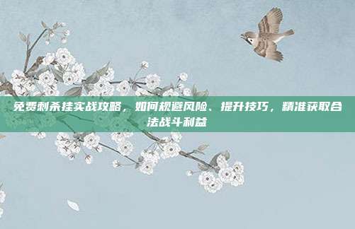免费刺杀挂实战攻略,如何规避风险、提升技巧,精准获取合法战斗利益