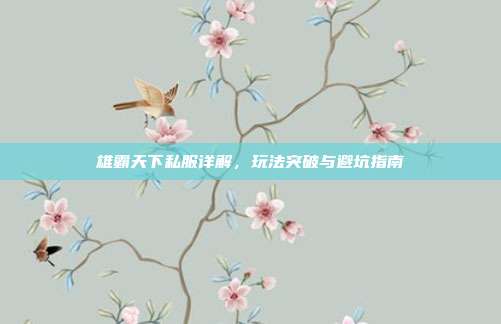 雄霸天下私服详解,玩法突破与避坑指南