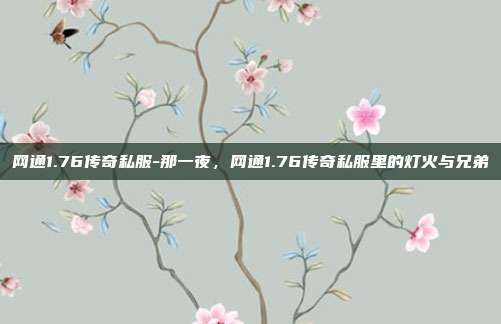 网通1.76传奇私服-那一夜,网通1.76传奇私服里的灯火与兄弟