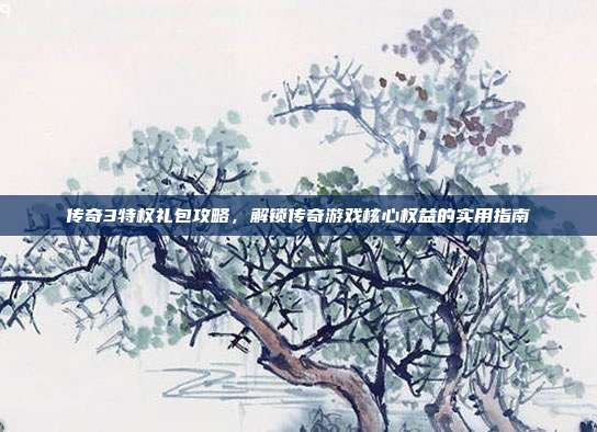 传奇3特权礼包攻略，解锁传奇游戏核心权益的实用指南