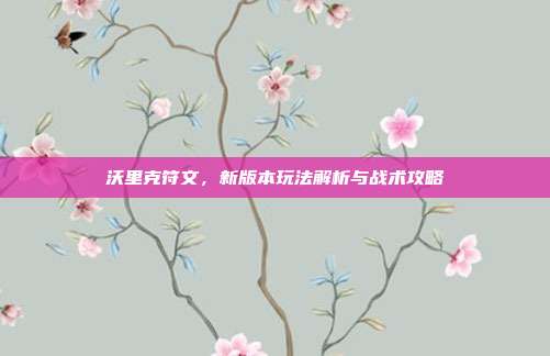 沃里克符文,新版本玩法解析与战术攻略