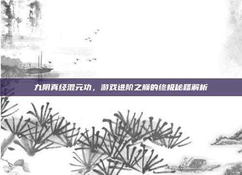 九阴真经混元功,游戏进阶之巅的终极秘籍解析