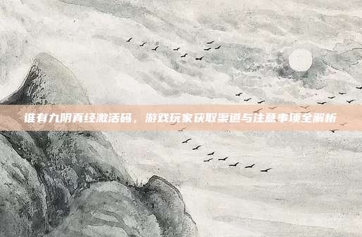 谁有九阴真经激活码,游戏玩家获取渠道与注意事项全解析