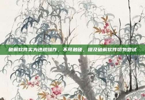破解软件实为违规操作，不可触碰，提及破解软件切勿尝试