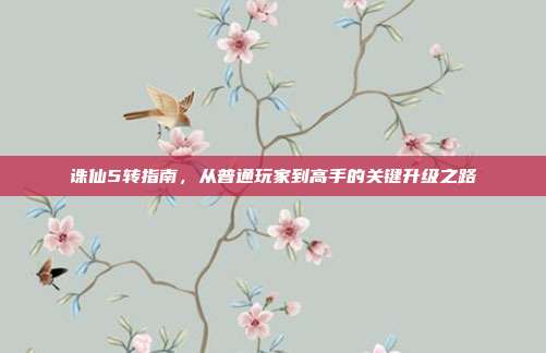 诛仙5转指南,从普通玩家到高手的关键升级之路