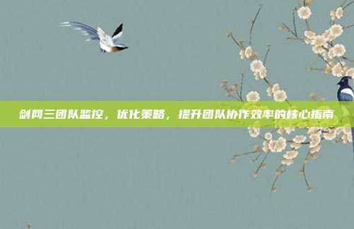 剑网三团队监控,优化策略,提升团队协作效率的核心指南