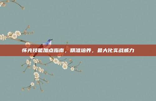 怀光技能加点指南,精准培养,最大化实战威力