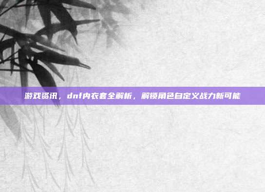 游戏资讯,dnf内衣套全解析,解锁角色自定义战力新可能