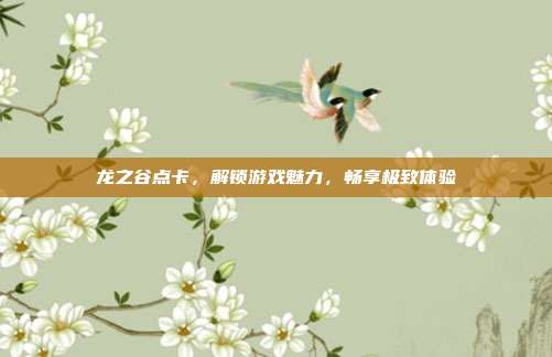 龙之谷点卡,解锁游戏魅力,畅享极致体验