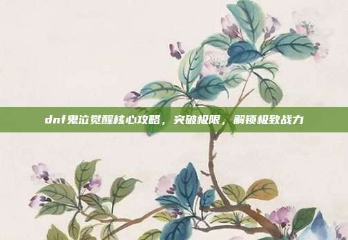 dnf鬼泣觉醒核心攻略,突破极限,解锁极致战力