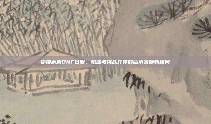 深度解析DNF日服,机遇与挑战并存的版本发展新格局