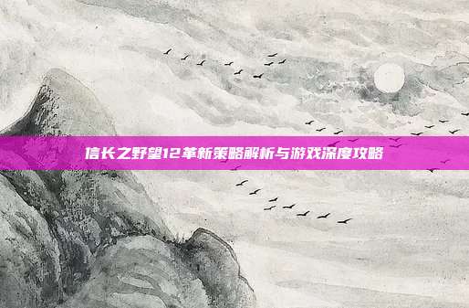 信长之野望12革新策略解析与游戏深度攻略