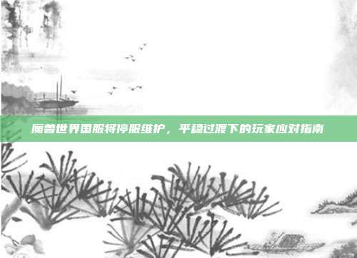 魔兽世界国服将停服维护,平稳过渡下的玩家应对指南