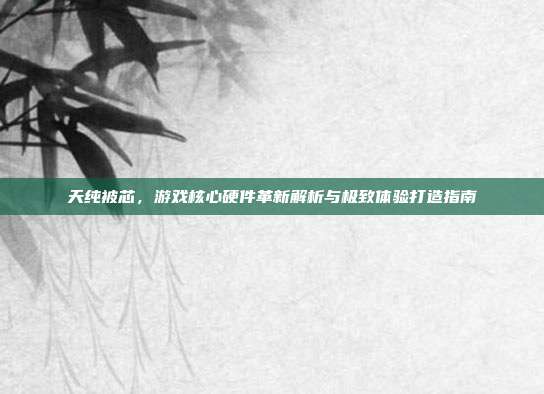 天纯被芯,游戏核心硬件革新解析与极致体验打造指南