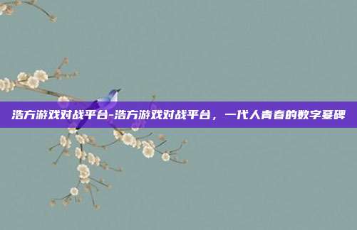浩方游戏对战平台-浩方游戏对战平台,一代人青春的数字墓碑