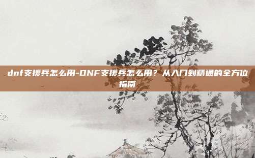 dnf支援兵怎么用-DNF支援兵怎么用?从入门到精通的全方位指南