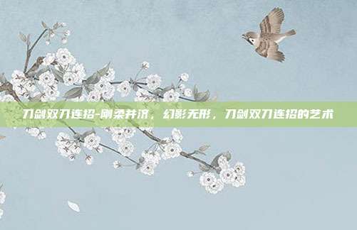 刀剑双刀连招-刚柔并济,幻影无形,刀剑双刀连招的艺术
