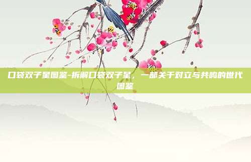 口袋双子星图鉴-拆解口袋双子星,一部关于对立与共鸣的世代图鉴
