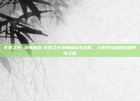 火炬之光 法师加点-火炬之光法师加点全攻略,元素掌控者的终极养成之路