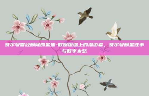 赛尔号曾经删除的星球-数据废墟上的漫游者,赛尔号删星往事与数字乡愁