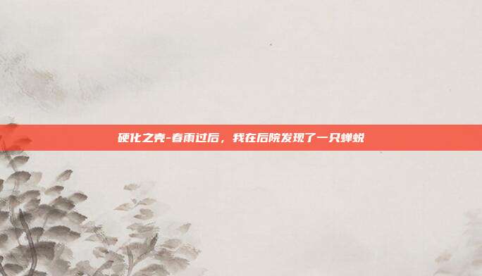 硬化之壳-春雨过后,我在后院发现了一只蝉蜕