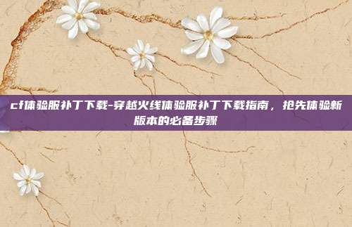 cf体验服补丁下载-穿越火线体验服补丁下载指南,抢先体验新版本的必备步骤