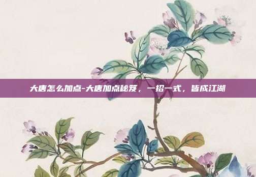 大唐怎么加点-大唐加点秘笈,一招一式,皆成江湖