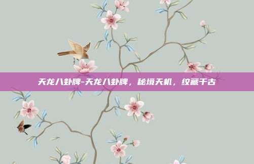 天龙八卦牌-天龙八卦牌，秘境天机，纹藏千古