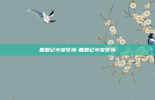 鹿鼎记小宝梦境-鹿鼎记小宝梦境