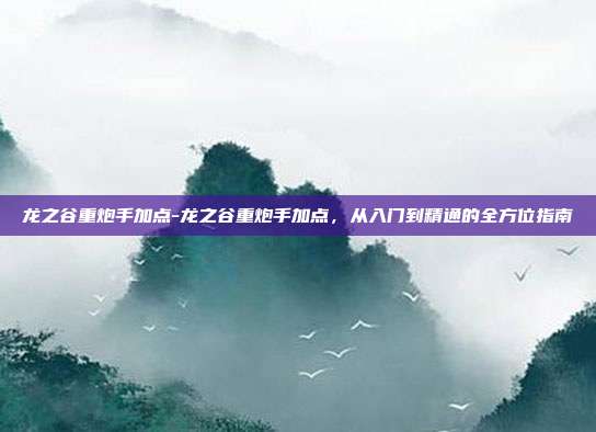 龙之谷重炮手加点-龙之谷重炮手加点,从入门到精通的全方位指南