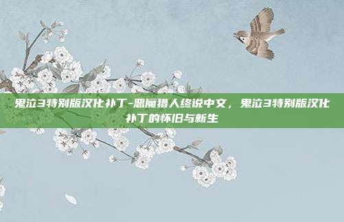 鬼泣3特别版汉化补丁-恶魔猎人终说中文，鬼泣3特别版汉化补丁的怀旧与新生