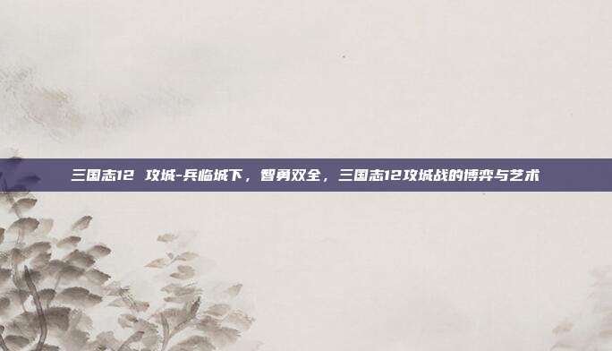 三国志12 攻城-兵临城下,智勇双全,三国志12攻城战的博弈与艺术