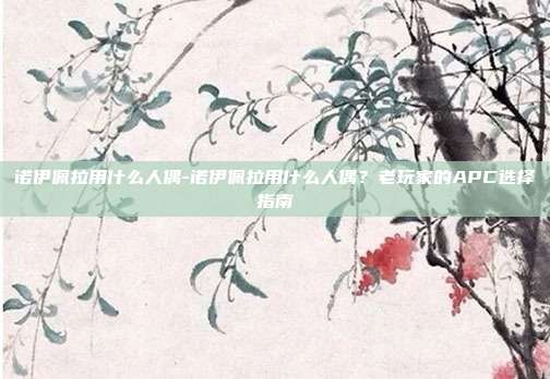 诺伊佩拉用什么人偶-诺伊佩拉用什么人偶？老玩家的APC选择指南