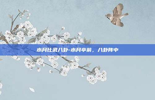 水月比武八卦-水月亭前,八卦阵中