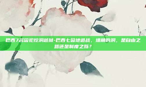 巴西7名囚犯挖洞越狱-巴西七囚地道战,墙角的洞,是自由之路还是制度之殇?