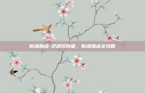 斩魂加点-灵魂切割者,斩魂加点全攻略