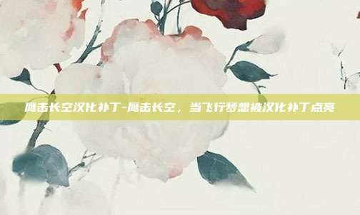 鹰击长空汉化补丁-鹰击长空,当飞行梦想被汉化补丁点亮